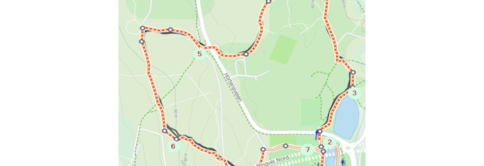 Vestfold Løpskarusell - Tønsberg marka 3. sep